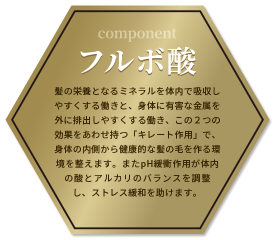 フルボ酸