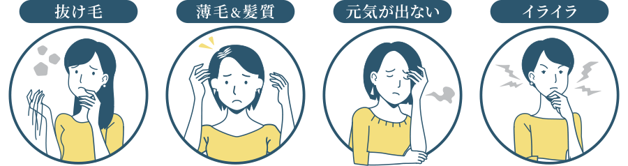 様々な症状「抜け毛」「薄毛＆髪質」「元気が出ない」「イライラ」など