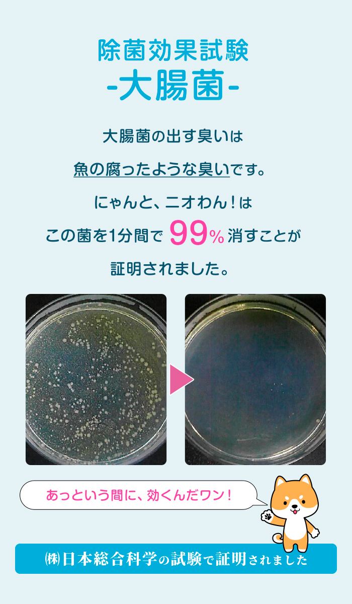 除菌効果試験-大腸菌-：大腸菌の出す臭いは魚の腐ったような臭いです。にゃんと、ニオわん！はこの菌を1分間で99％消すことが㈱日本総合科学の試験で証明されました。