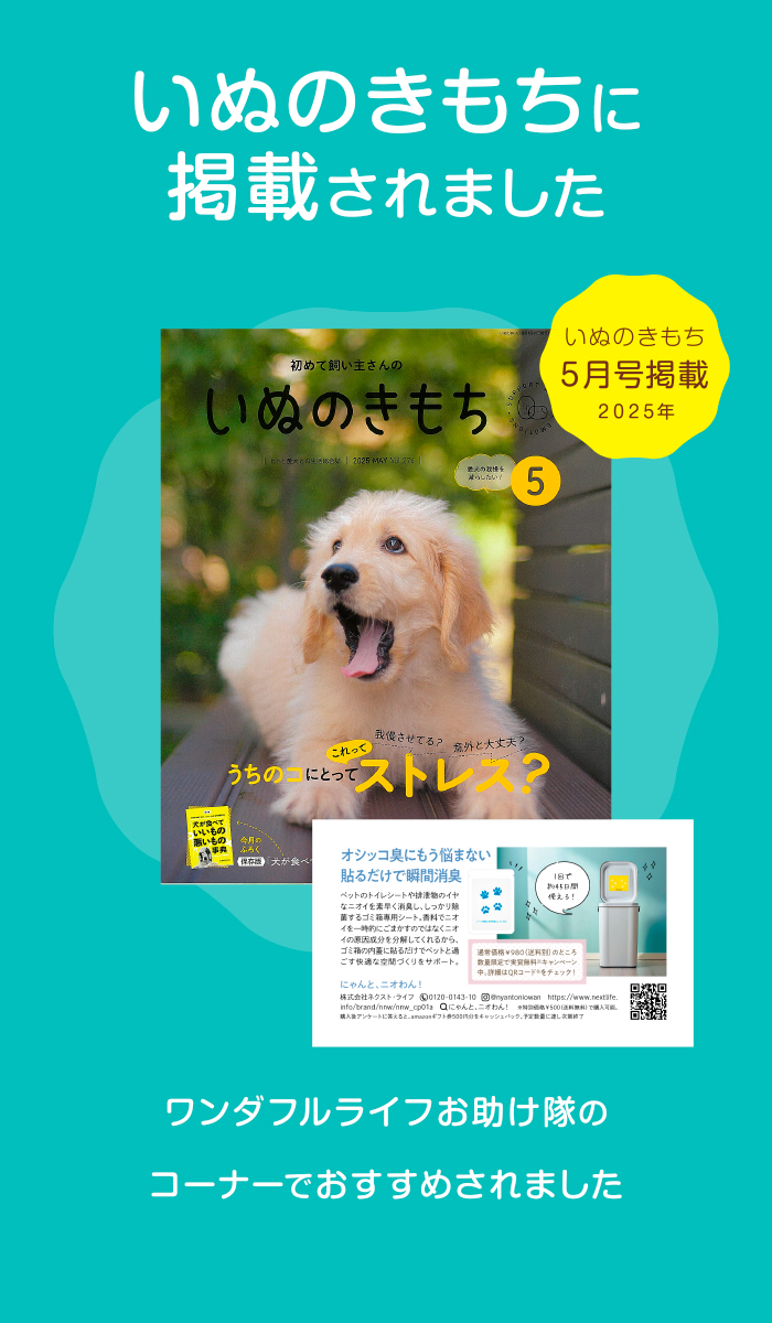 いぬのきもち（2025年5月号）に掲載されました！