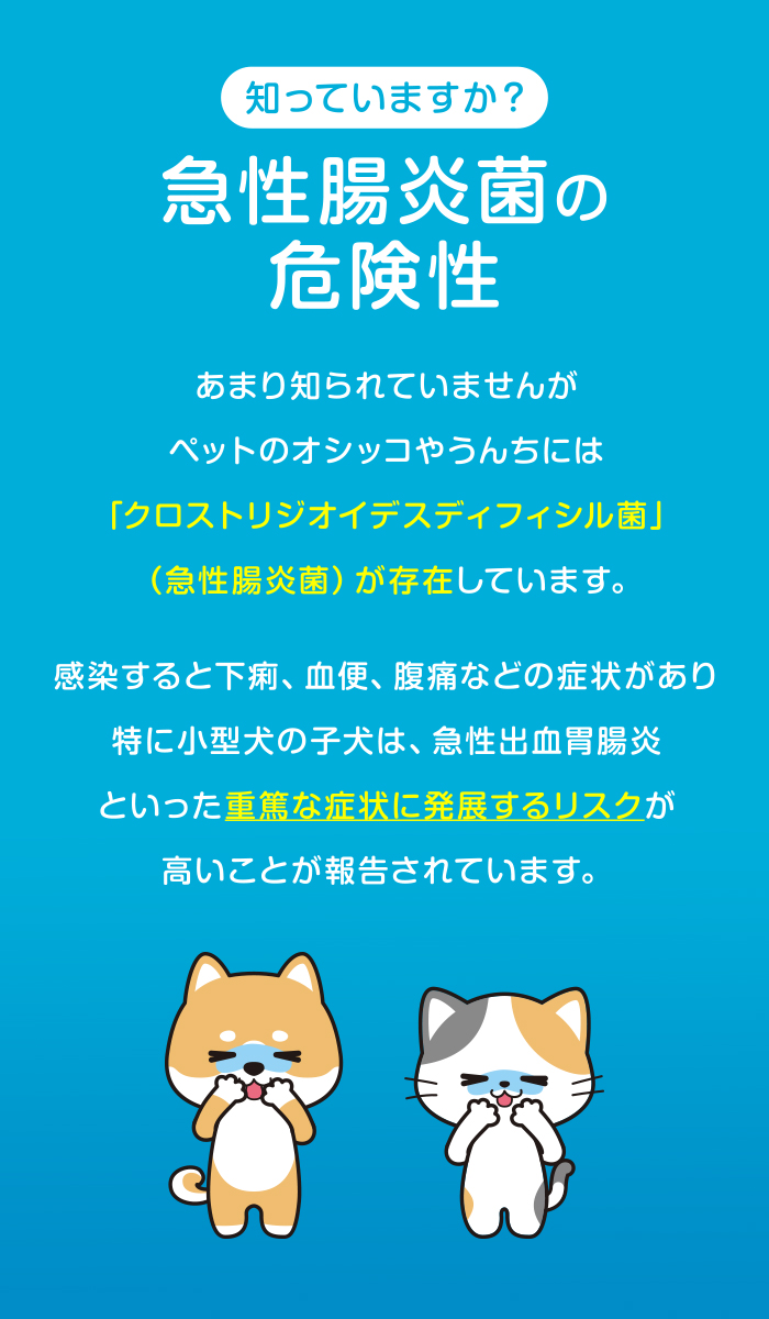 知っていますか？急性腸炎菌の危険性。あまり知られていませんがペットのオシッコやうんちには「クロストリジオイデスディフィシル菌」（急性腸炎菌）が存在しています。感染すると下痢、血便、腹痛などの症状があり特に小型犬の子犬は、急性出血胃腸炎といった重篤な症状に発展するリスクが高いことが報告されています。