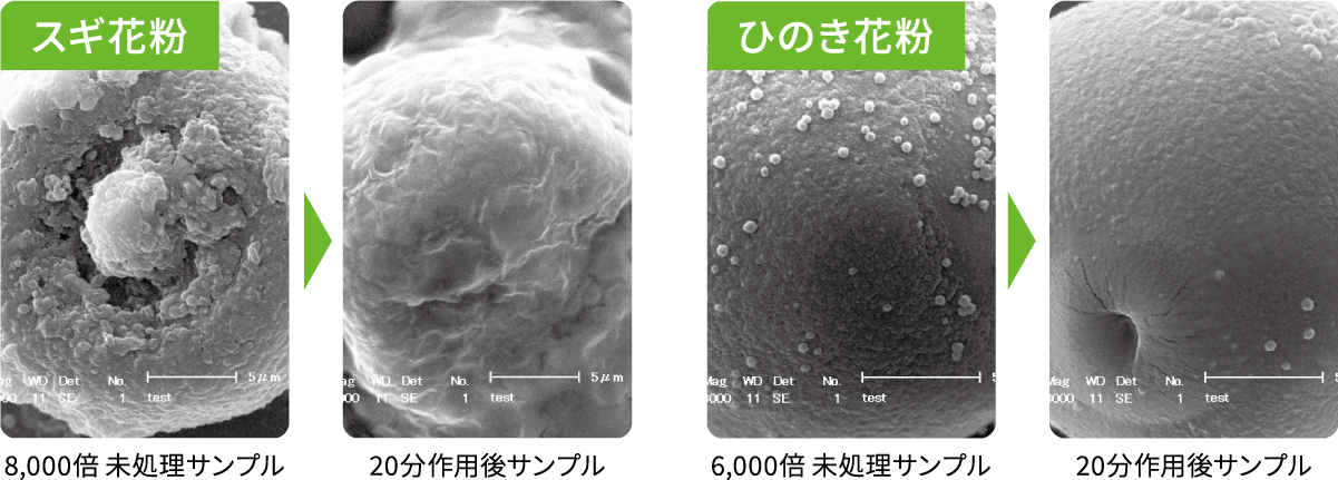 花粉の不活化試験写真