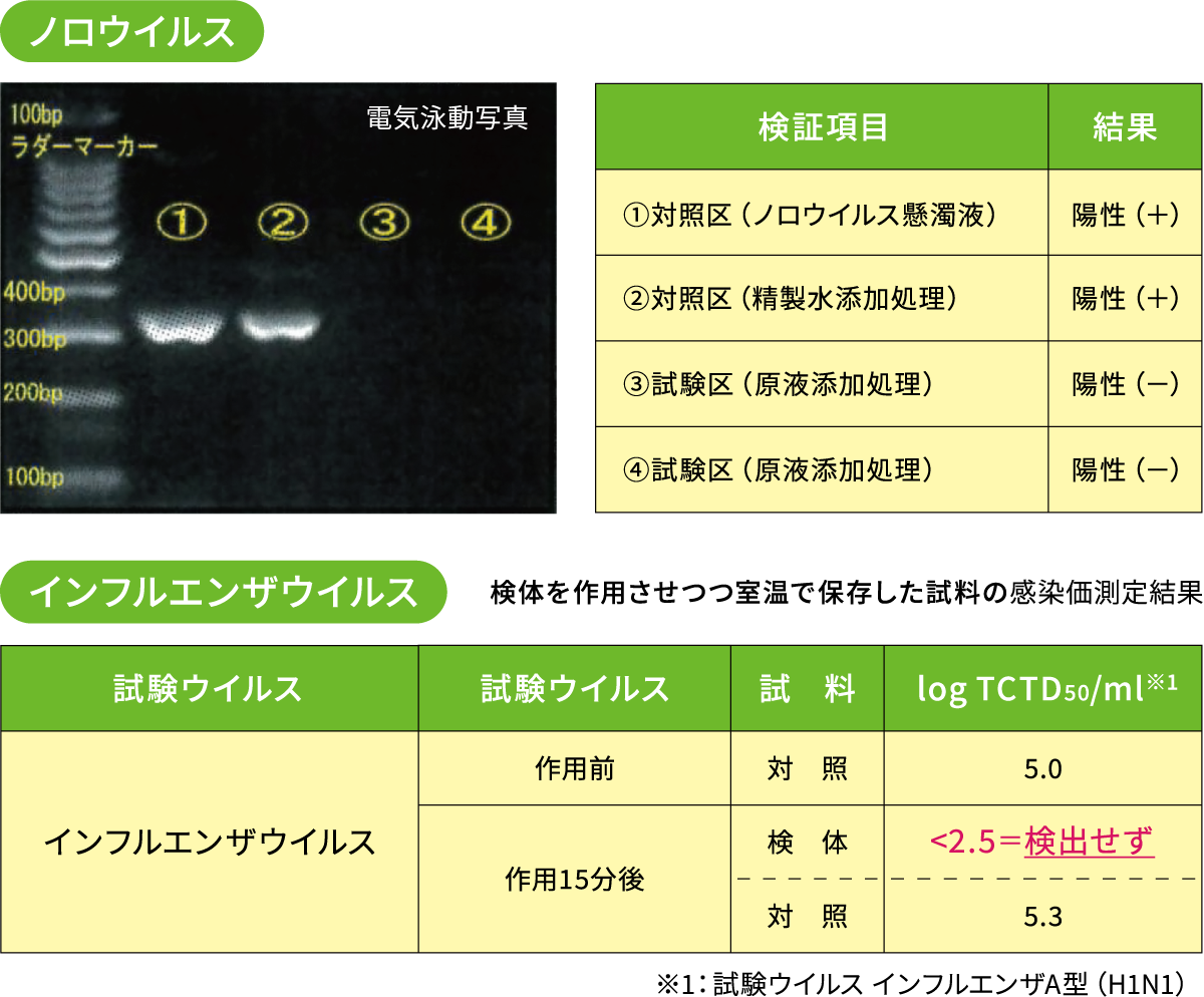 ウイルス試験