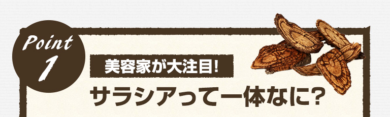 Point1 美容家が大注目！サラシアって一体なに？