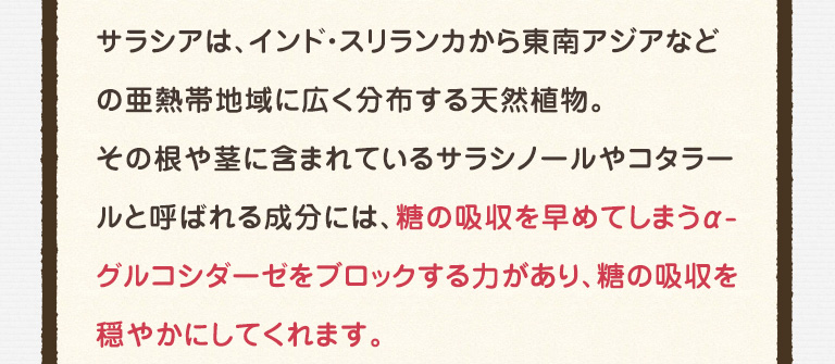 サラシアは、インド・スリランカから東南アジアなどの亜熱帯地域に広く分布する天然植物。その根や茎に含まれているサラシノールやコタラールと呼ばれる成分には、糖の吸収を早めてしまうα-グルコシダーゼをブロックする力があり、糖の吸収を穏やかにしてくれます。