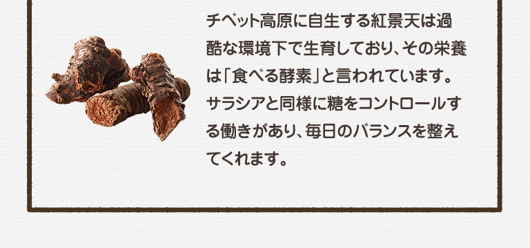 チベット高原に自生する紅景天は過酷な環境下で生育しており、その栄養は「食べる酵素」と言われています。サラシアと同様に糖をコントロールする働きがあり、毎日のバランスを整えてくれます。