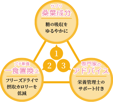30日間の簡単プチ断食セットで目指せ最大マイナス3kg ミラクルダイエットbox 株式会社ネクストライフ