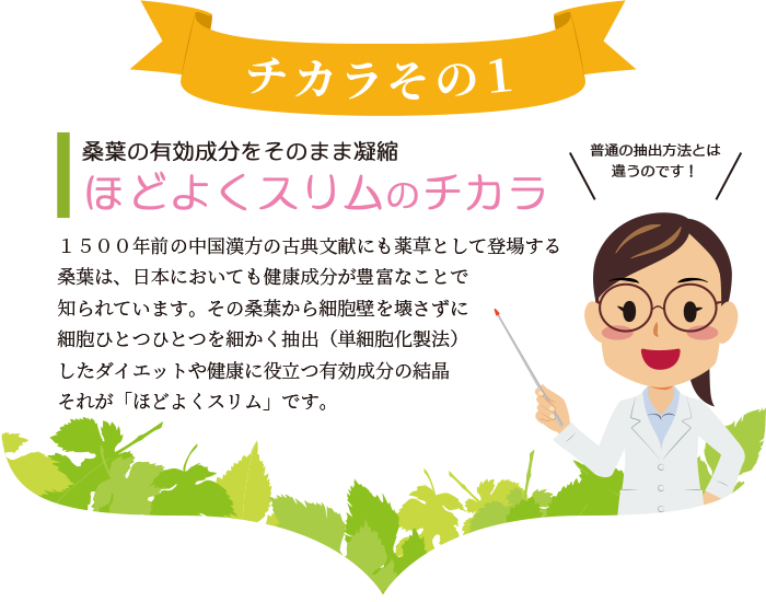 30日間の簡単プチ断食セットで目指せ最大マイナス3kg ミラクルダイエットbox 株式会社ネクストライフ