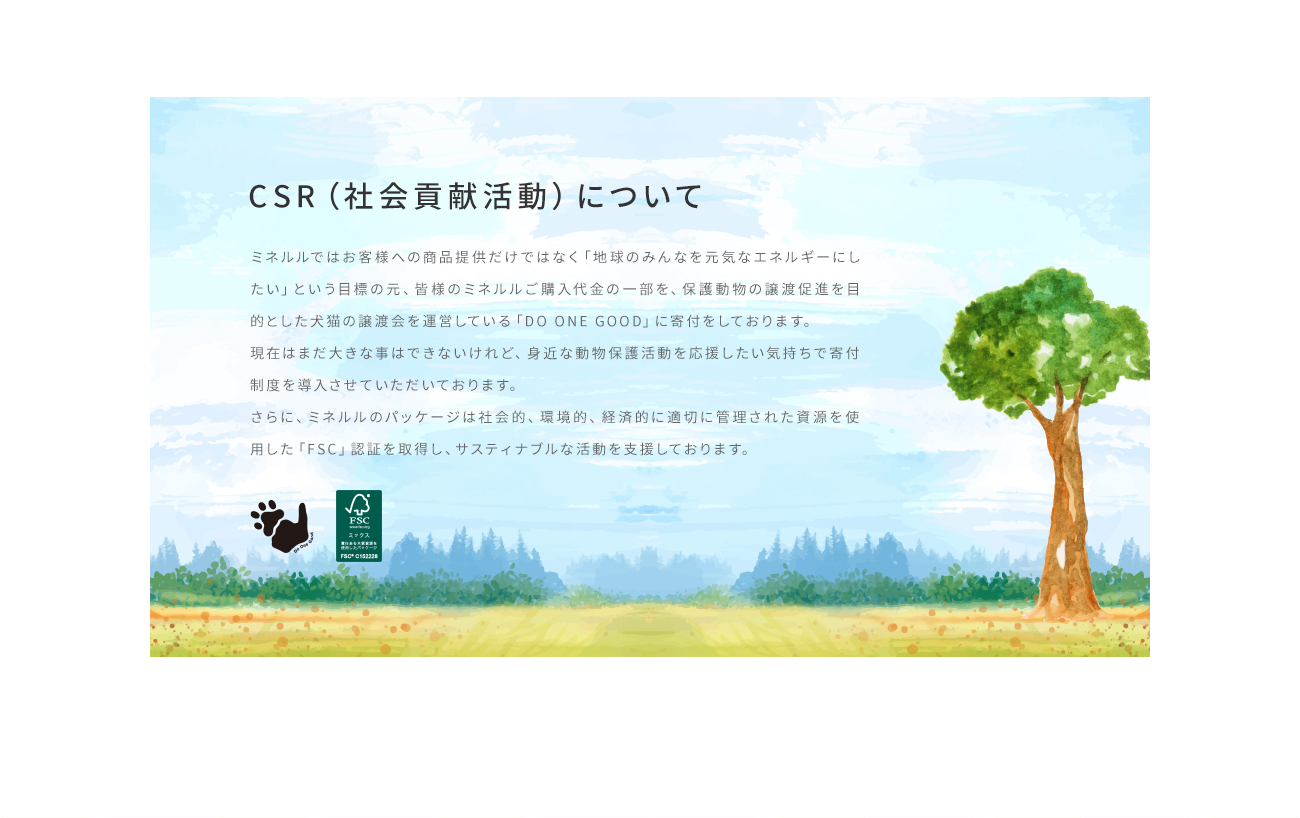 CSR（社会貢献活動）について