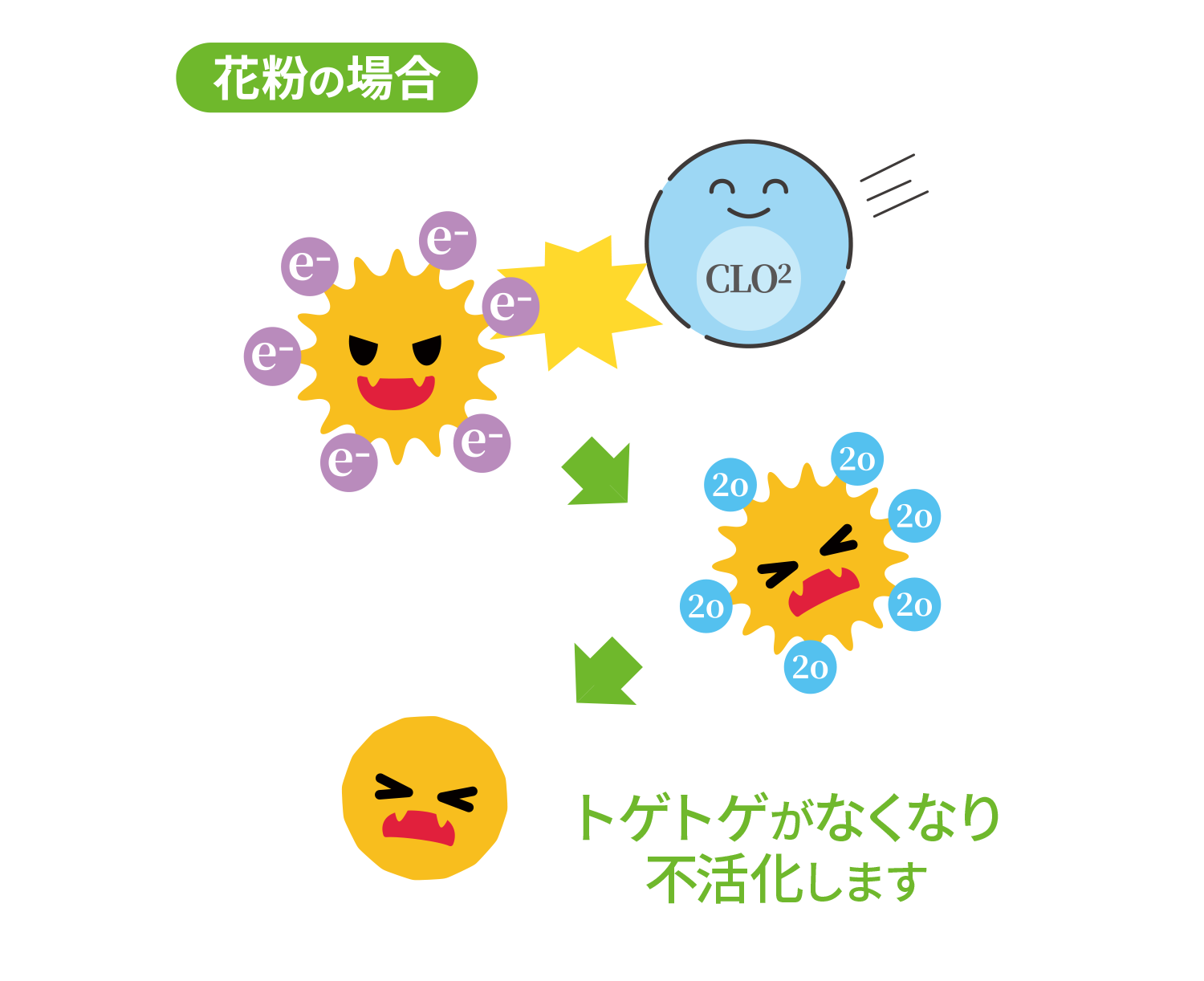 花粉の場合、表面のトゲトゲがなくなり不活化します