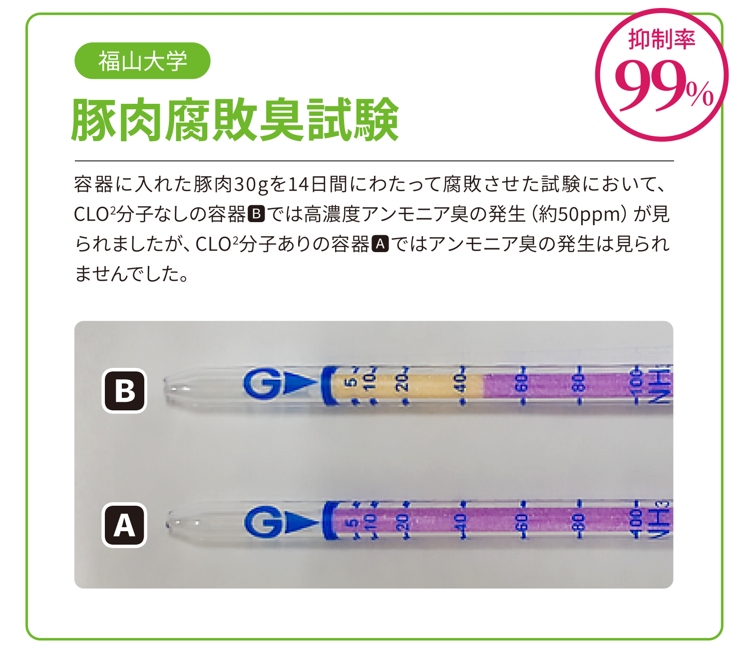 福山大学:豚肉腐敗臭試験:抑制率99%。容器に入れた豚肉30gを14日間にわたって腐敗させた試験において、CLO2分子なしの容器??では高濃度アンモニア臭の発生(約50ppm)が見られましたが、CLO2分子ありの容器??ではアンモニア臭の発生は見られませんでした。