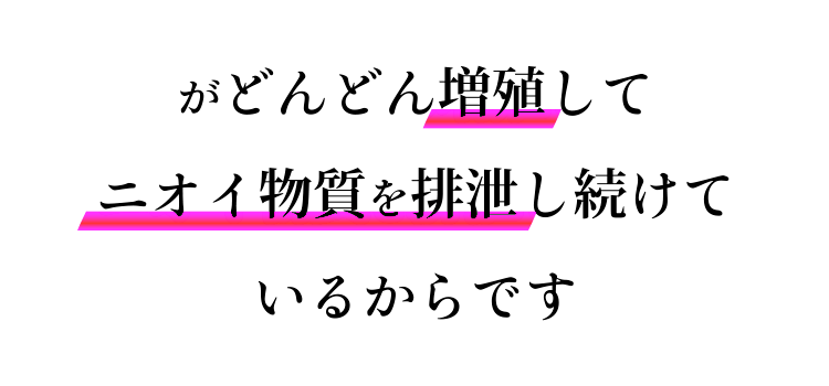 どんどん増殖して排泄をし続けているからです。