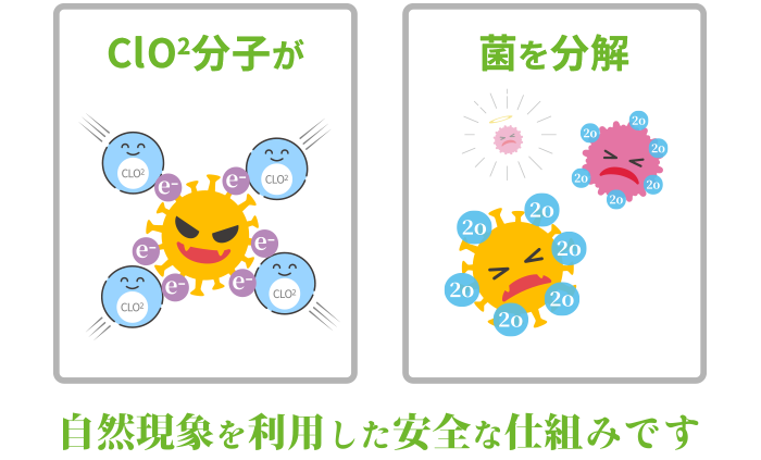 CLO2分子が菌にぶつかると菌を分解するイメージ。自然現象を利用した安全な仕組みです。