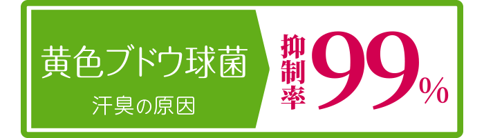 黄色ブドウ球菌：汗臭の原因：抑制率99％