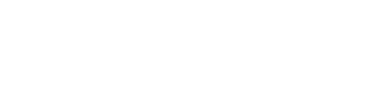 使い方は簡単!ただ靴に差し込むだけ